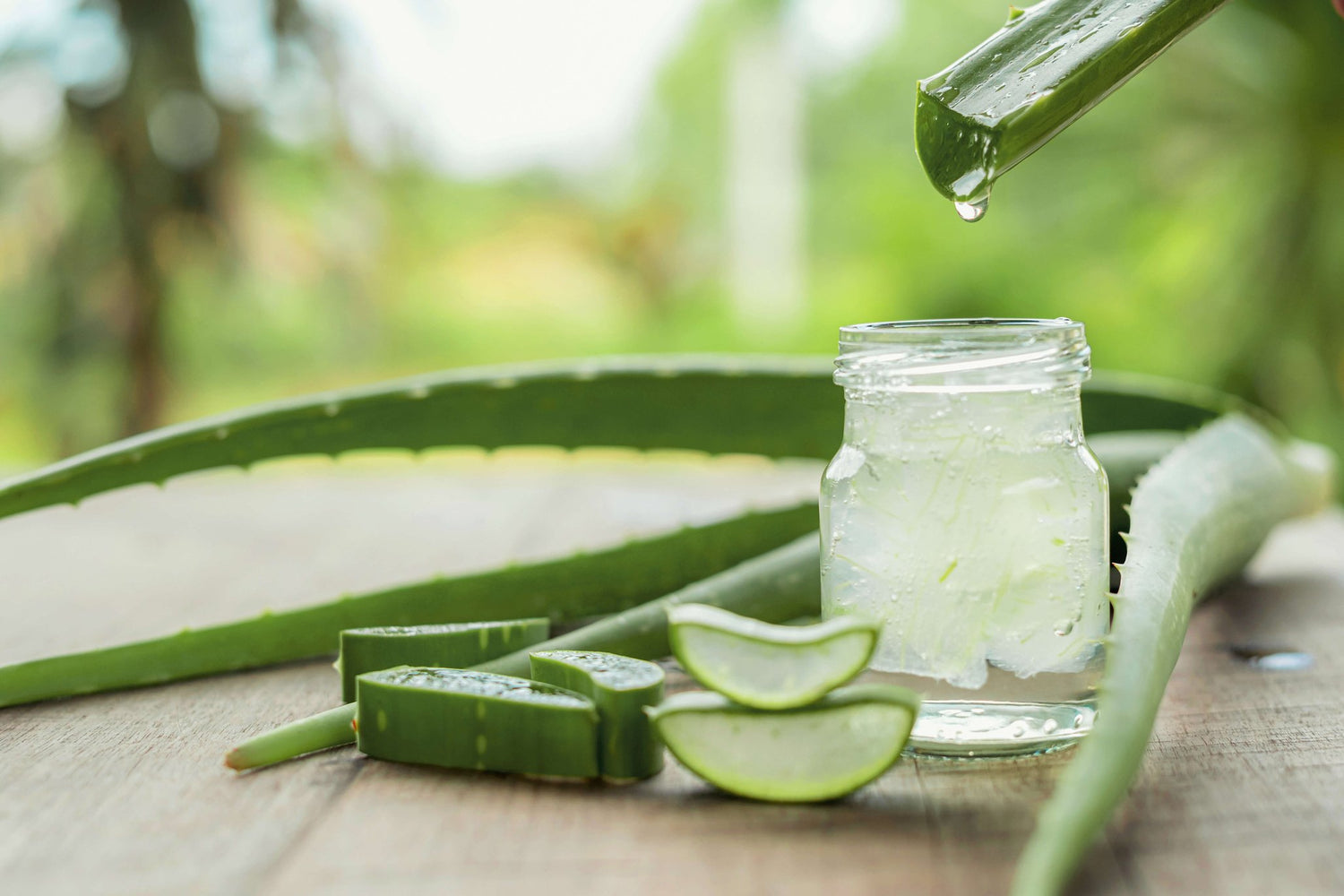 Aloe Vera i hudpleje